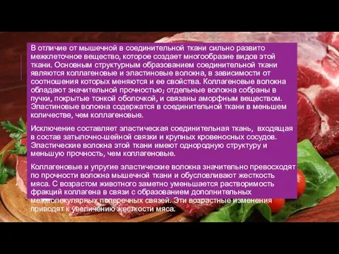 В отличие от мышечной в соединительной ткани сильно развито межклеточное вещество,