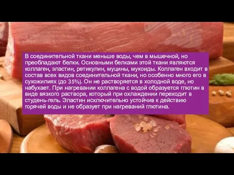 В соединительной ткани меньше воды, чем в мышечной, но преобладают белки.