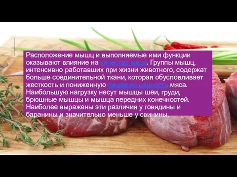 Расположение мышц и выполняемые ими функции оказывают влияние на качество мяса.