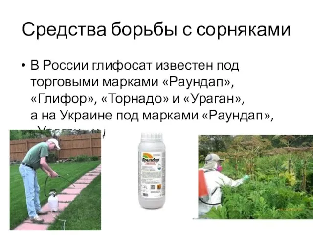Средства борьбы с сорняками В России глифосат известен под торговыми марками