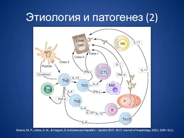 Этиология и патогенез (2) Manns, M. P., Lohse, A. W., &