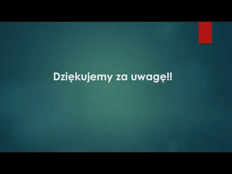 Dziękujemy za uwagę!!