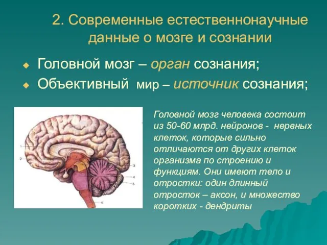 Головной мозг – орган сознания; Объективный мир – источник сознания; Головной