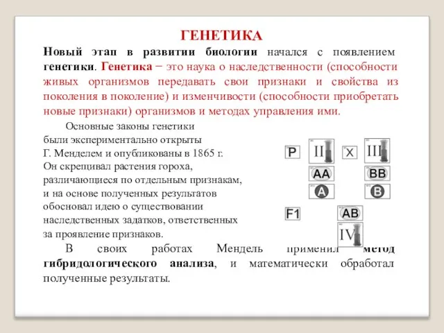 ГЕНЕТИКА Новый этап в развитии биологии начался с появлением генетики. Генетика