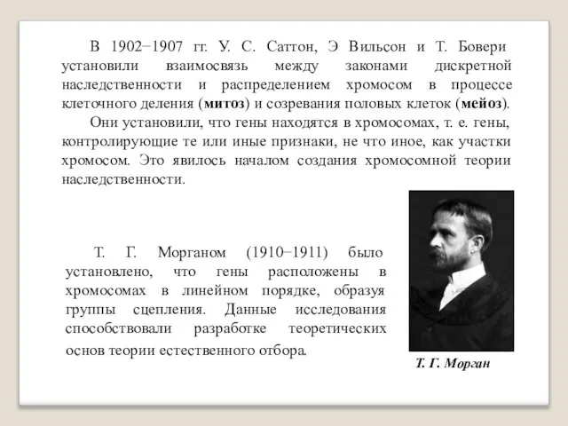 В 1902−1907 гг. У. С. Саттон, Э Вильсон и Т. Бовери