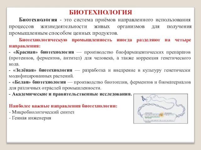 БИОТЕХНОЛОГИЯ Биотехнология - это система приёмов направленного использования процессов жизнедеятельности живых