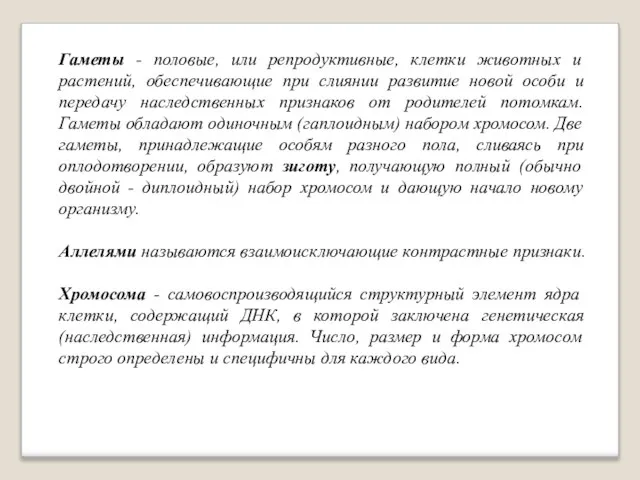 Гаметы - половые, или репродуктивные, клетки животных и растений, обеспечивающие при