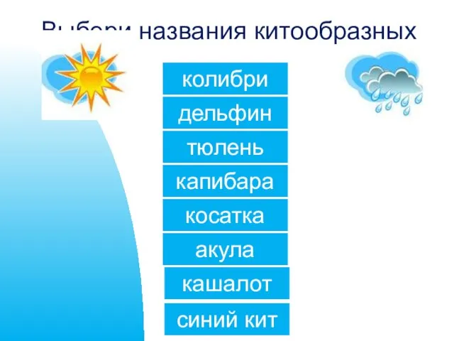 Выбери названия китообразных синий кит капибара дельфин акула колибри тюлень кашалот косатка