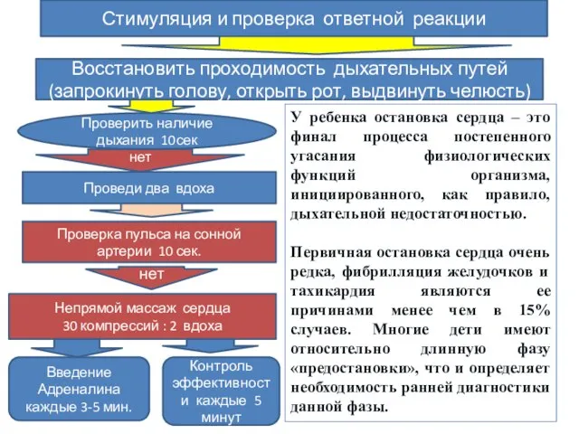 Стимуляция и проверка ответной реакции Восстановить проходимость дыхательных путей (запрокинуть голову,