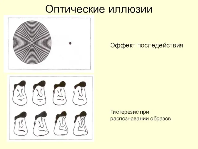 Эффект последействия Гистерезис при распознавании образов Оптические иллюзии