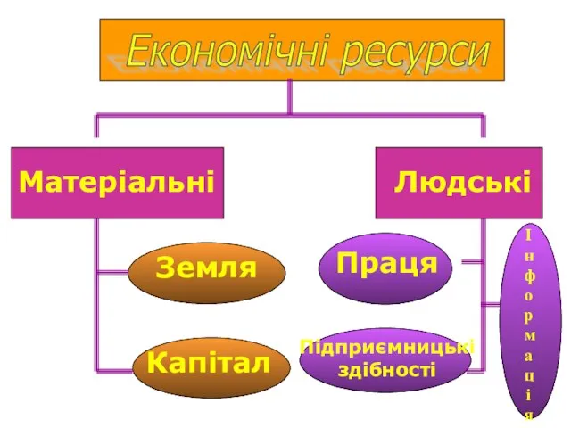 Матеріальні Людські Земля Капітал Праця Підприємницькі здібності Економічні ресурси Інформація