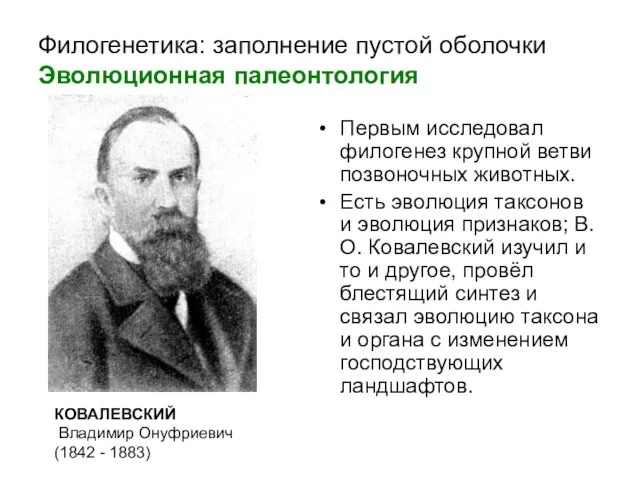 Филогенетика: заполнение пустой оболочки Эволюционная палеонтология Первым исследовал филогенез крупной ветви