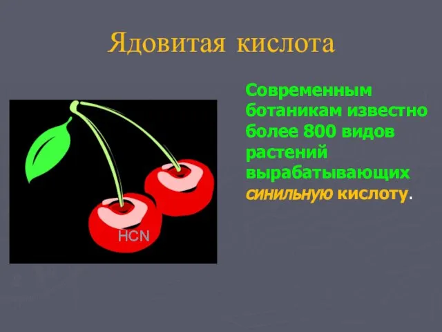 Ядовитая кислота Современным ботаникам известно более 800 видов растений вырабатывающих синильную кислоту. HCN