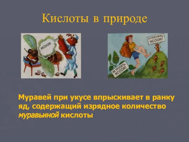 Кислоты в природе Муравей при укусе впрыскивает в ранку яд, содержащий изрядное количество муравьиной кислоты