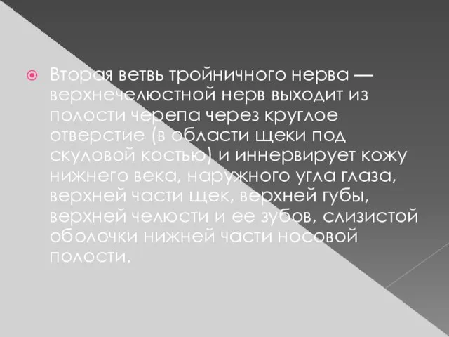 Вторая ветвь тройничного нерва — верхнечелюстной нерв выходит из полости черепа