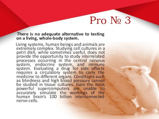 Pro № 3 There is no adequate alternative to testing on