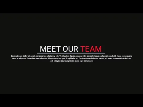 MEET OUR TEAM Lorem ipsum dolor sit amet, consectetur adipiscing elit.