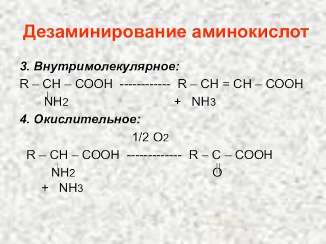 Дезаминирование аминокислот 3. Внутримолекулярное: R – СН – СООН ------------ R