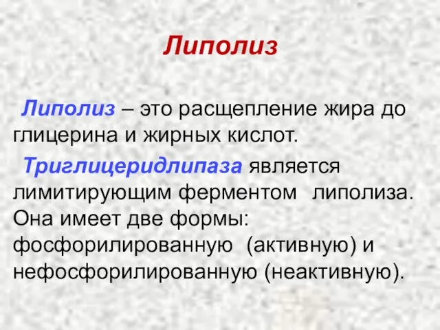 Липолиз Липолиз – это расщепление жира до глицерина и жирных кислот.