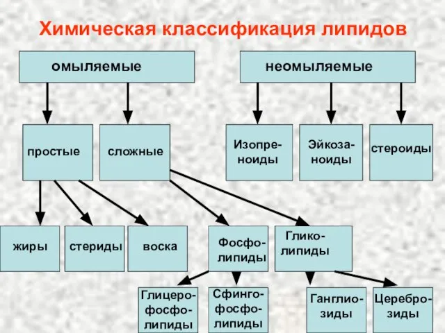 Химическая классификация липидов простые сложные Изопре-ноиды Эйкоза-ноиды стероиды омыляемые неомыляемые жиры