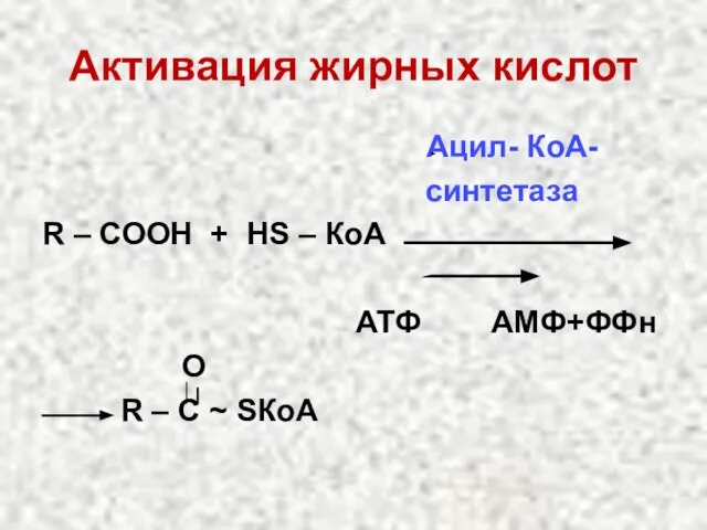 Активация жирных кислот Ацил- КоА- синтетаза R – СООН + НS