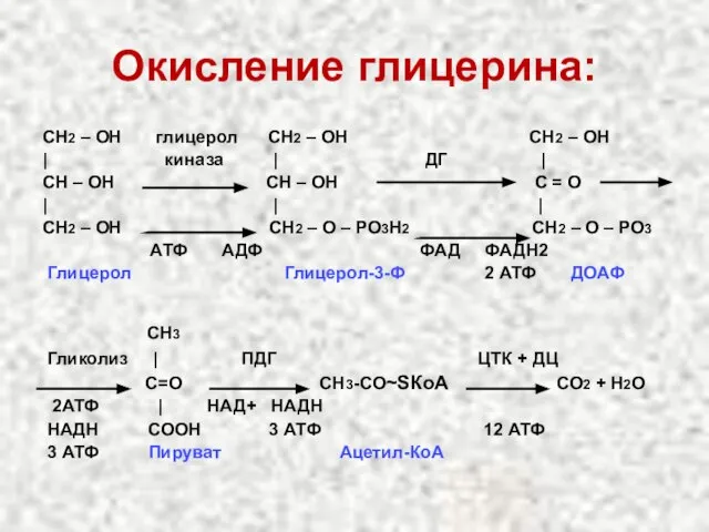 Окисление глицерина: СН2 – ОН глицерол СН2 – ОН СН2 –