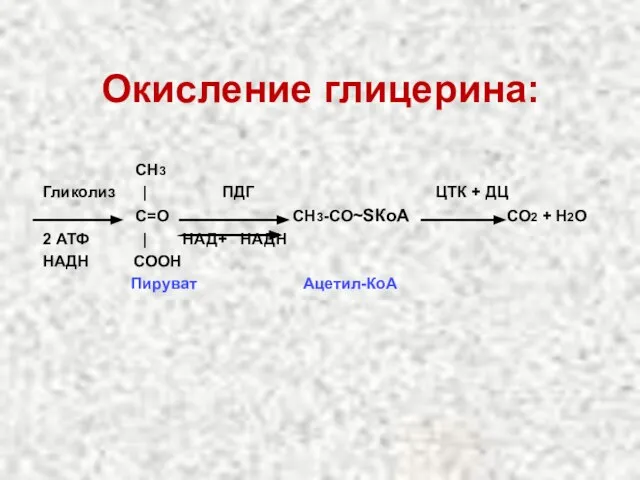 Окисление глицерина: СН3 Гликолиз | ПДГ ЦТК + ДЦ С=О СН3-СО~SКоА