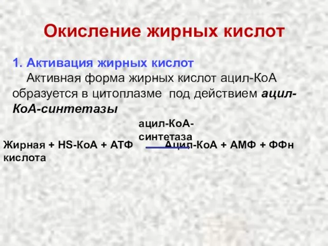 Окисление жирных кислот Жирная + НS-КоА + АТФ Ацил-КоА + АМФ