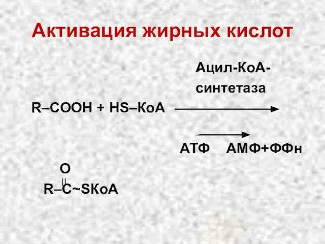 Активация жирных кислот Ацил-КоА- синтетаза R–СООН + НS–КоА АТФ АМФ+ФФн О R–С~SКоА