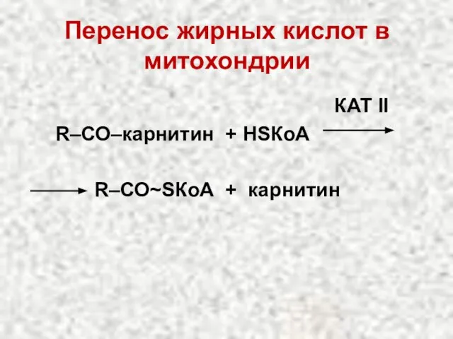 Перенос жирных кислот в митохондрии КАТ II R–СО–карнитин + НSКоА R–СО~SКоА + карнитин