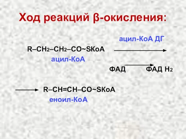 Ход реакций β-окисления: ацил-КоА ДГ R–СН2–СН2–СО~SКоА ацил-КоА ФАД ФАД Н2 R–СН=СН–СО~SКоА еноил-КоА