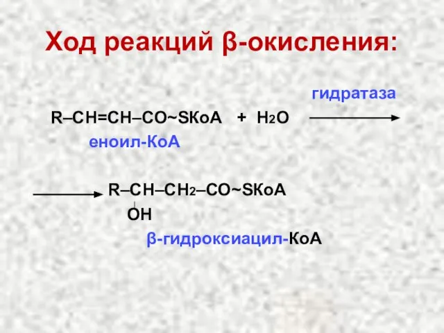 Ход реакций β-окисления: гидратаза R–СН=СН–СО~SКоА + Н2О еноил-КоА R–СН–СН2–СО~SКоА ОН β-гидроксиацил-КоА