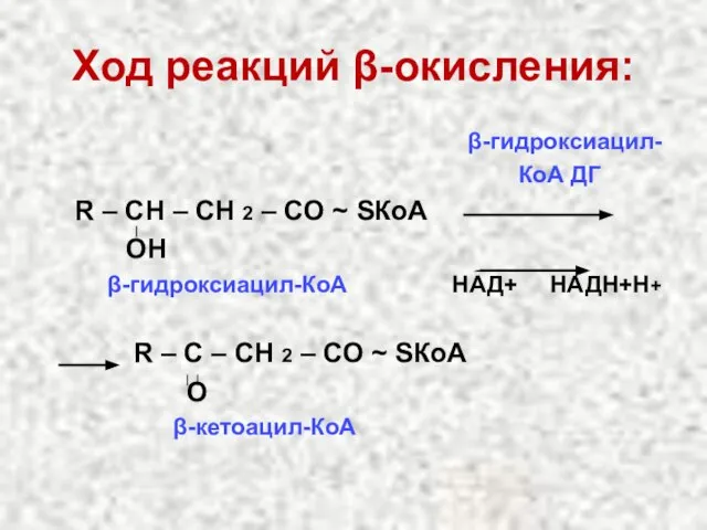 Ход реакций β-окисления: β-гидроксиацил- КоА ДГ R – СН – СН