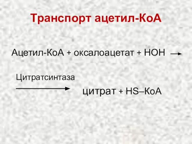 Транспорт ацетил-КоА Ацетил-КоА + оксалоацетат + НОН Цитратсинтаза цитрат + НS–КоА