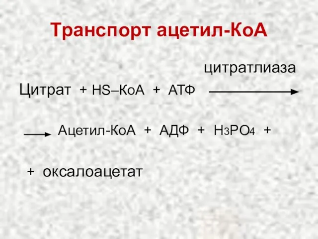 Транспорт ацетил-КоА цитратлиаза Цитрат + НS–КоА + АТФ Ацетил-КоА + АДФ + Н3РО4 + + оксалоацетат