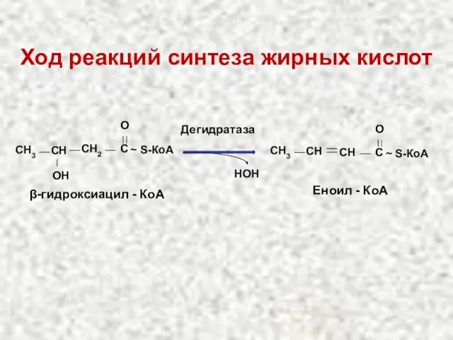 Ход реакций синтеза жирных кислот CH2 C O ~ S-КоА СН3