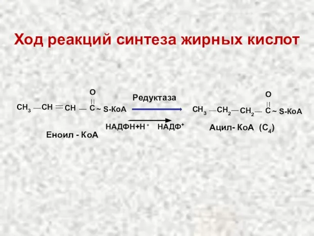 Ход реакций синтеза жирных кислот CH C O ~ S-КоА СН3