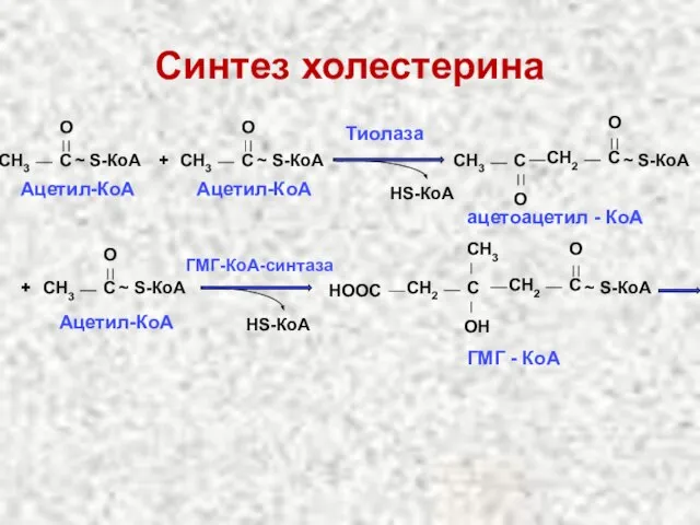 Синтез холестерина CH3 C O ~ S-КоА Ацетил-КоА + CH3 C