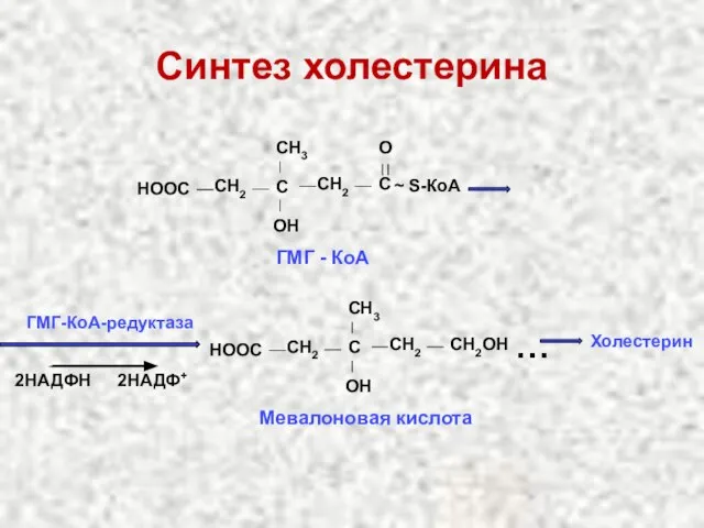 ГМГ-КоА-редуктаза 2НАДФН 2НАДФ+ CH2 CН2ОН СН2 С OН Мевалоновая кислота СН3