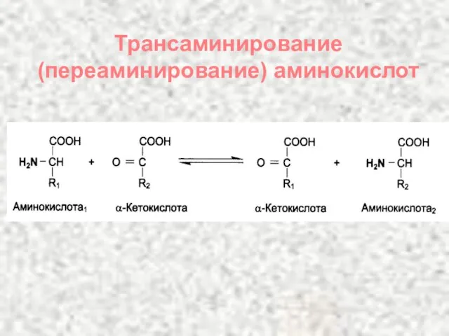 Трансаминирование (переаминирование) аминокислот