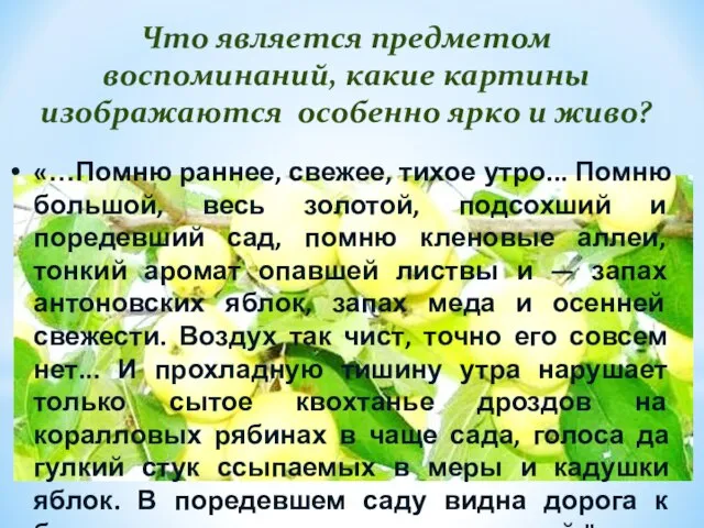 Что является предметом воспоминаний, какие картины изображаются особенно ярко и живо?