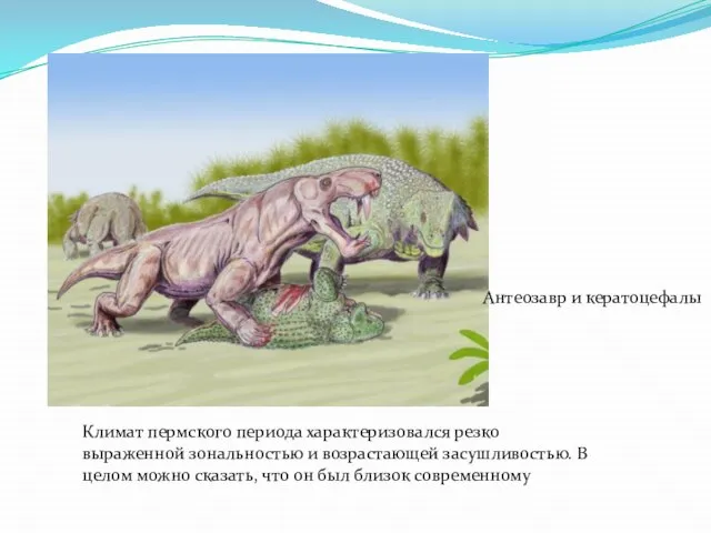 Климат пермского периода характеризовался резко выраженной зональностью и возрастающей засушливостью. В