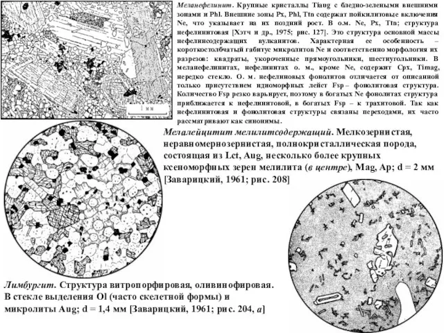 Меланефелинит. Крупные кристаллы Tiaug с бледно-зелеными внешними зонами и Phl. Внешние