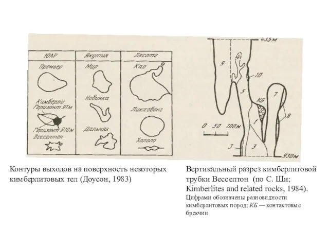 Контуры выходов на поверхность некоторых кимберлитовых тел (Доусон, 1983) Вертикальный разрез