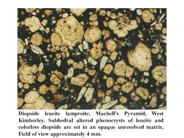 Diopside leucite lamproite, Machell's Pyramid, West Kimberley. Subhedral altered phenocrysts of