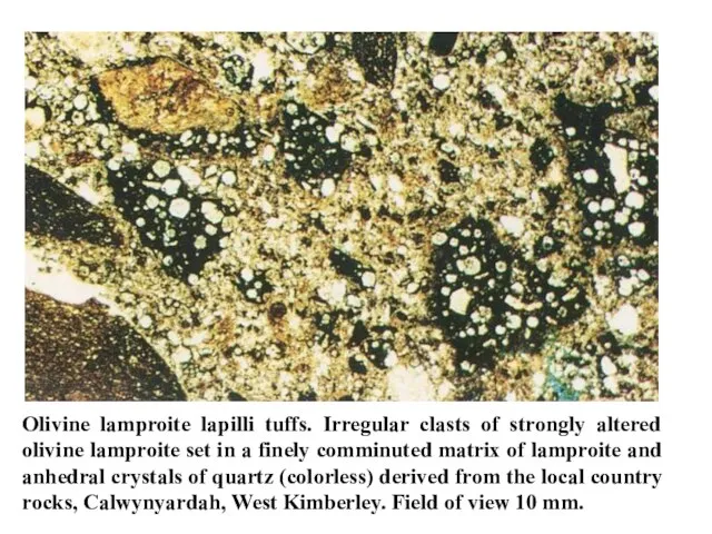 Olivine lamproite lapilli tuffs. Irregular clasts of strongly altered olivine lamproite