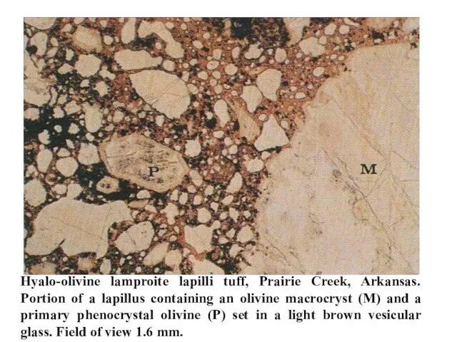 Hyalo-olivine lamproite lapilli tuff, Prairie Creek, Arkansas. Portion of a lapillus