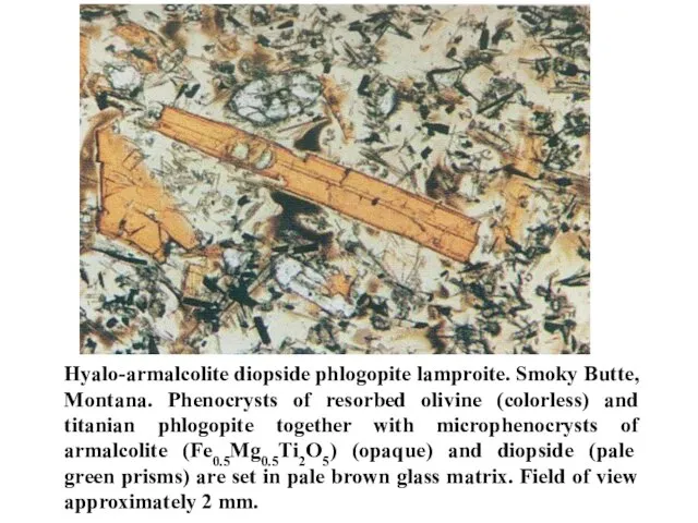 Hyalo-armalcolite diopside phlogopite lamproite. Smoky Butte, Montana. Phenocrysts of resorbed olivine