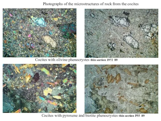 Cocites with olivine phenocrystes thin section 1972 89 Photographs of the