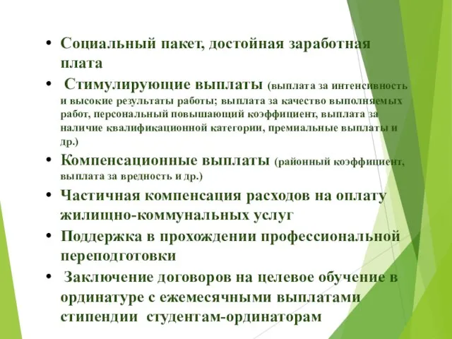 Социальный пакет, достойная заработная плата Стимулирующие выплаты (выплата за интенсивность и